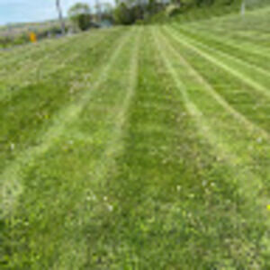 Meet your Posher, Donald